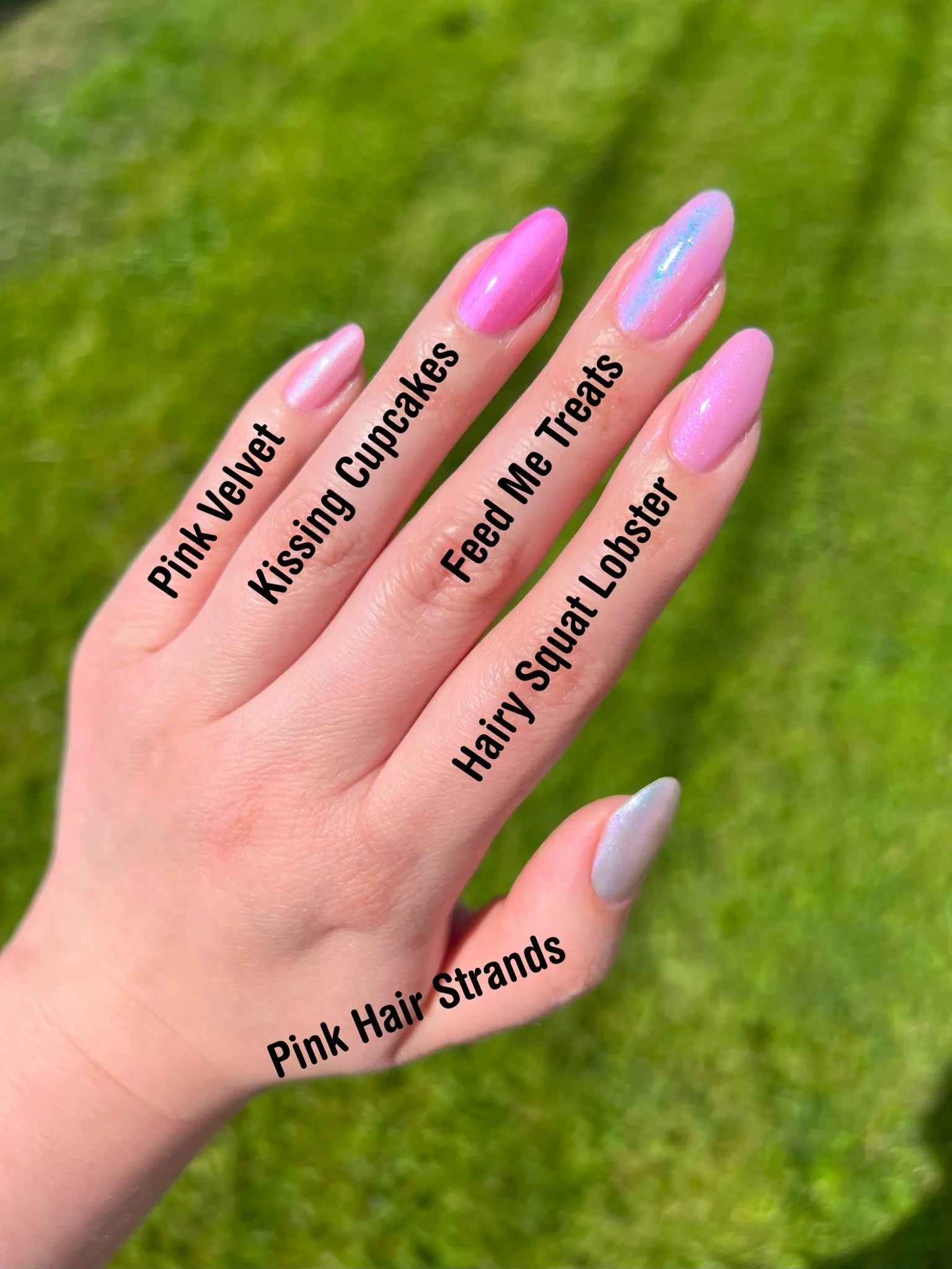 Thumbnail 15